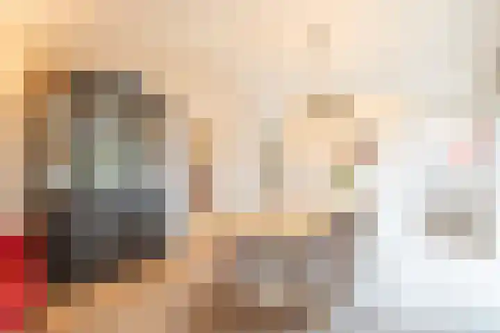 't Harde 22 Haren Gn thumbnail 32
