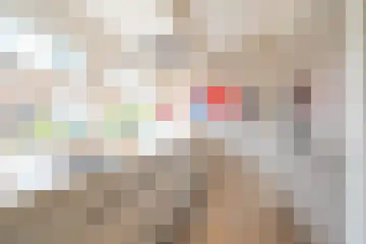 't Harde 22 Haren Gn thumbnail 33