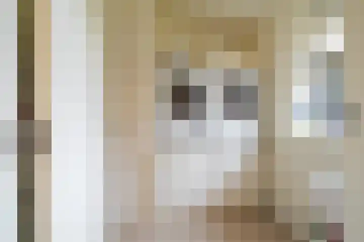 't Harde 22 Haren Gn thumbnail 37