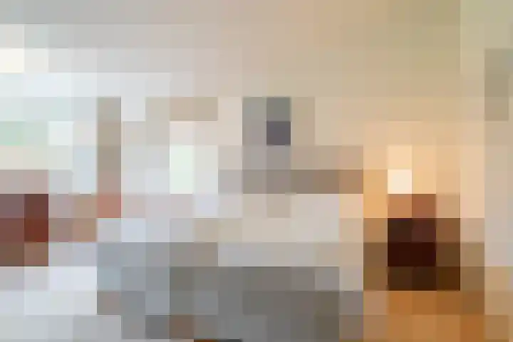 't Harde 22 Haren Gn thumbnail 4