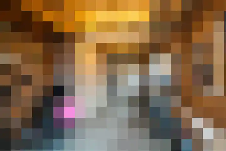 't Harde 22 Haren Gn thumbnail 57