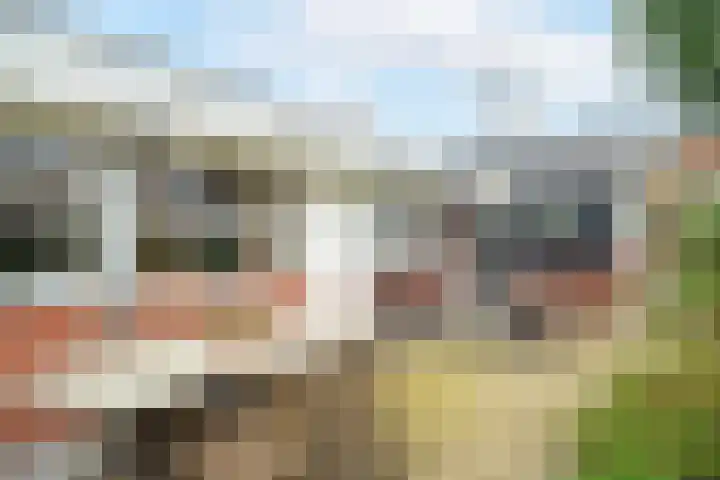 't Harde 22 Haren Gn thumbnail 58