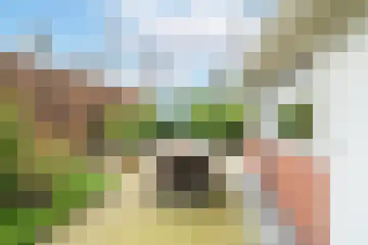 't Harde 22 Haren Gn thumbnail 59