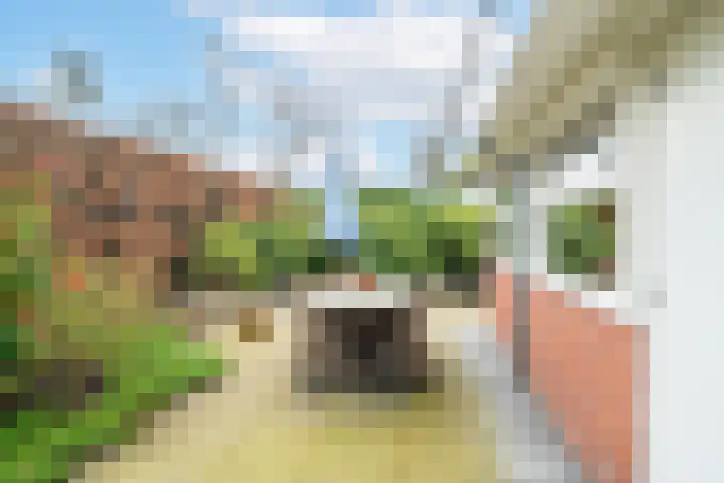 't Harde 22 Haren Gn thumbnail 59