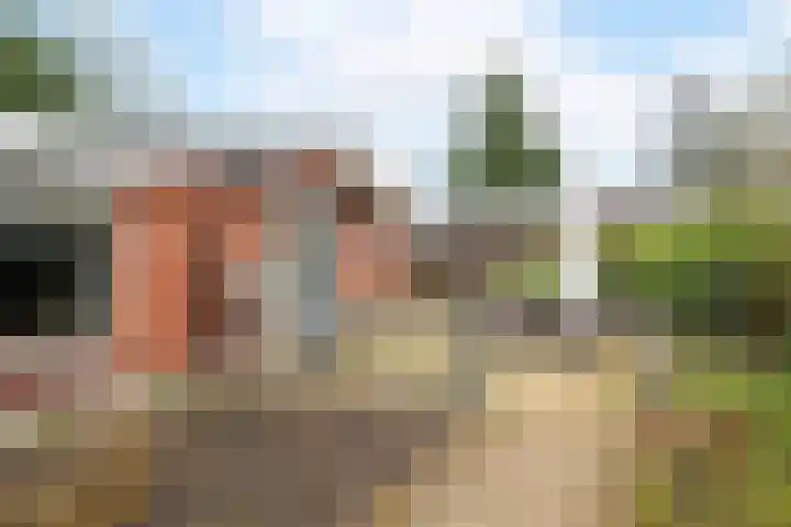 't Harde 22 Haren Gn thumbnail 61