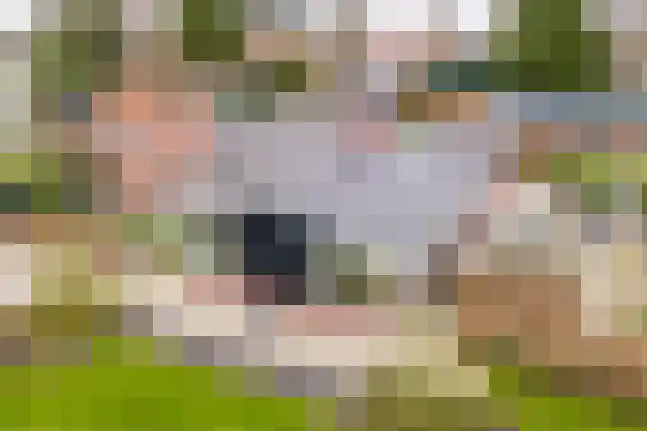 't Harde 22 Haren Gn thumbnail 62