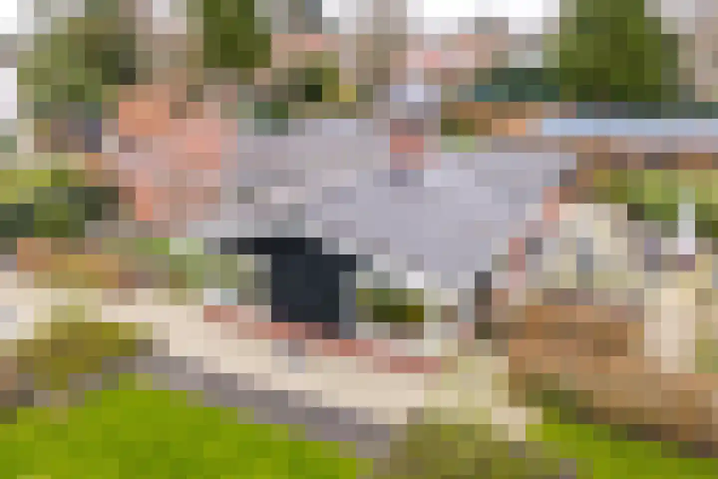 't Harde 22 Haren Gn thumbnail 62