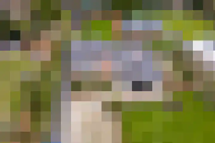 't Harde 22 Haren Gn thumbnail 63