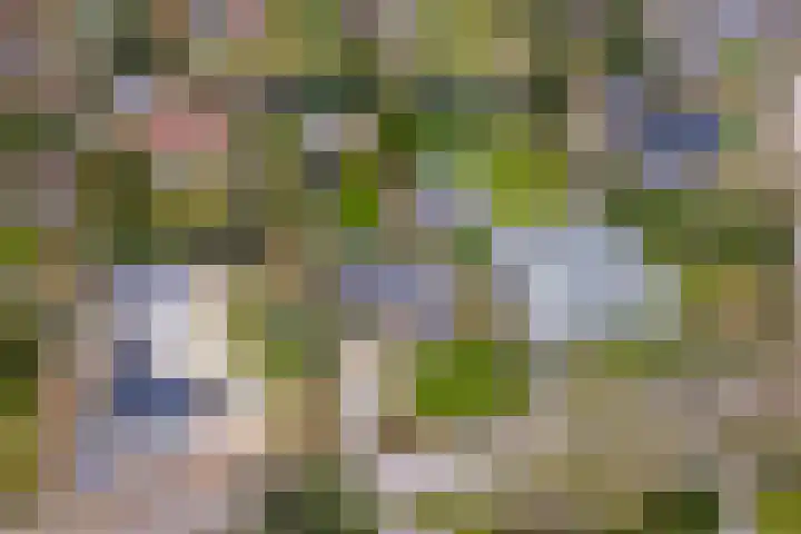 't Harde 22 Haren Gn thumbnail 64