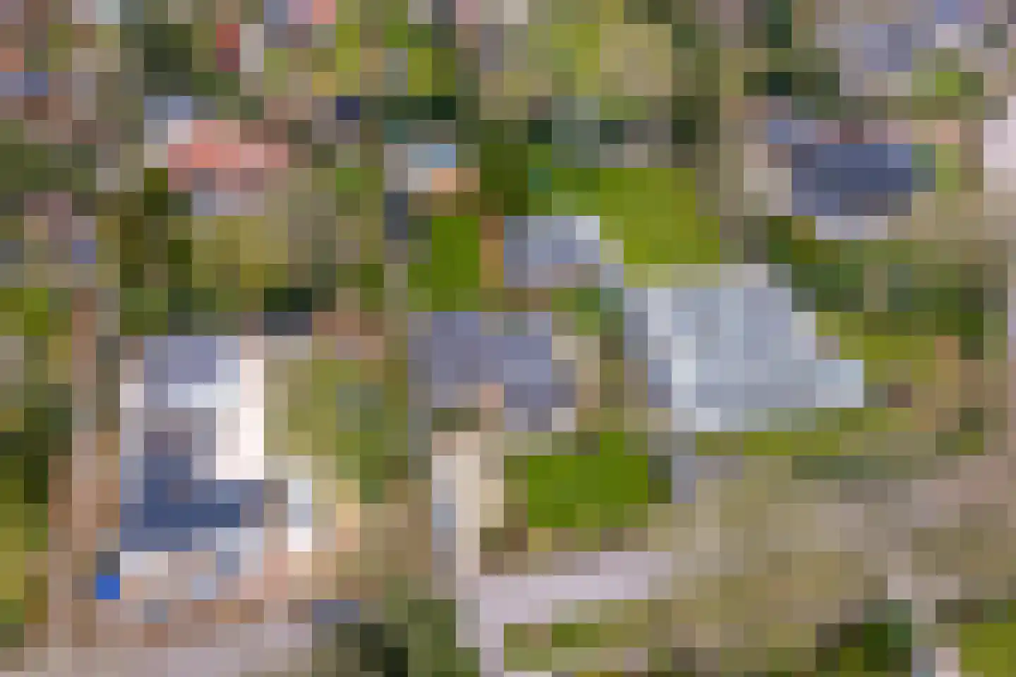 't Harde 22 Haren Gn thumbnail 64