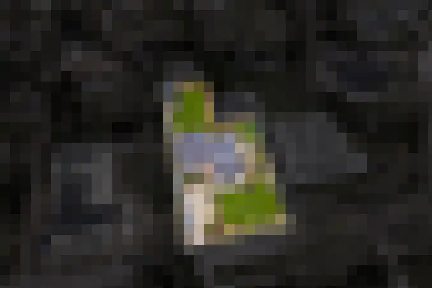 't Harde 22 Haren Gn thumbnail 65