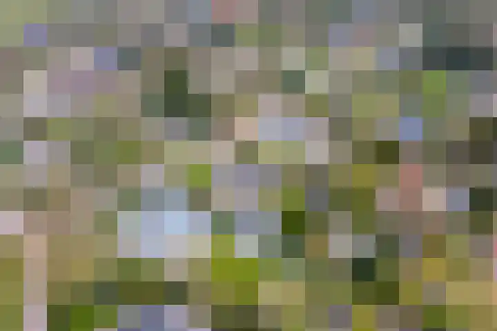 't Harde 22 Haren Gn thumbnail 66