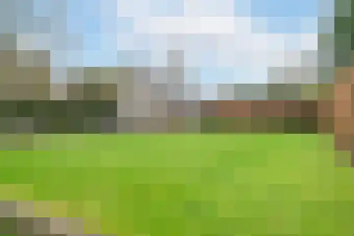 't Harde 22 Haren Gn thumbnail 7