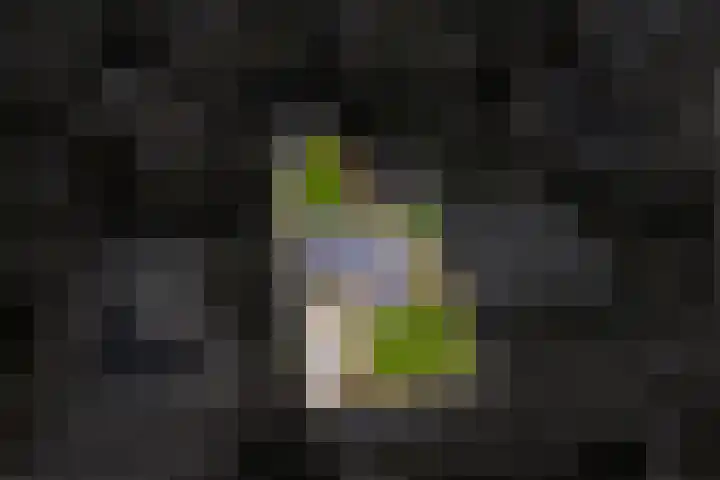 't Harde 22 Haren Gn thumbnail 8