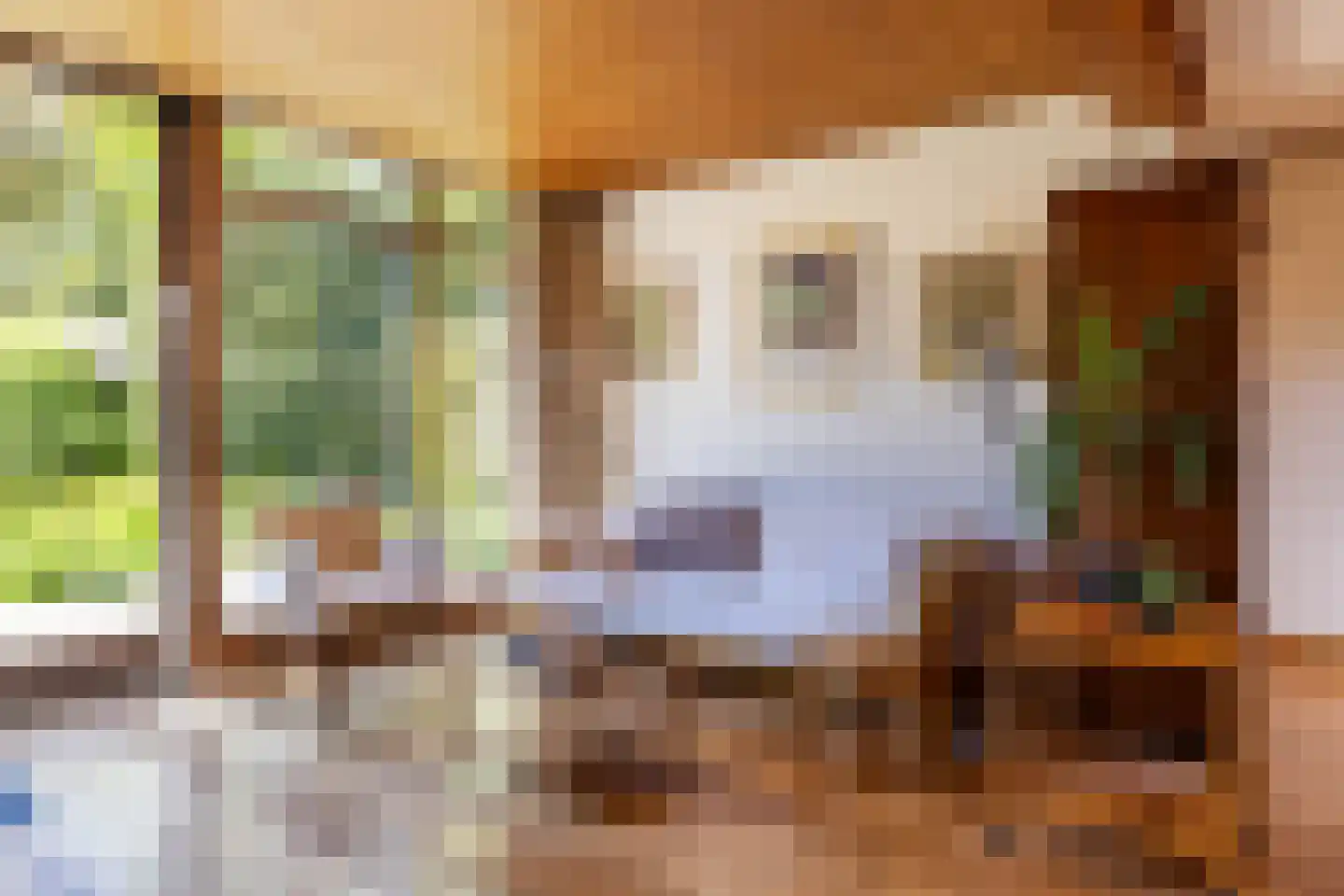 't Harde 3 Haren Gn thumbnail 21