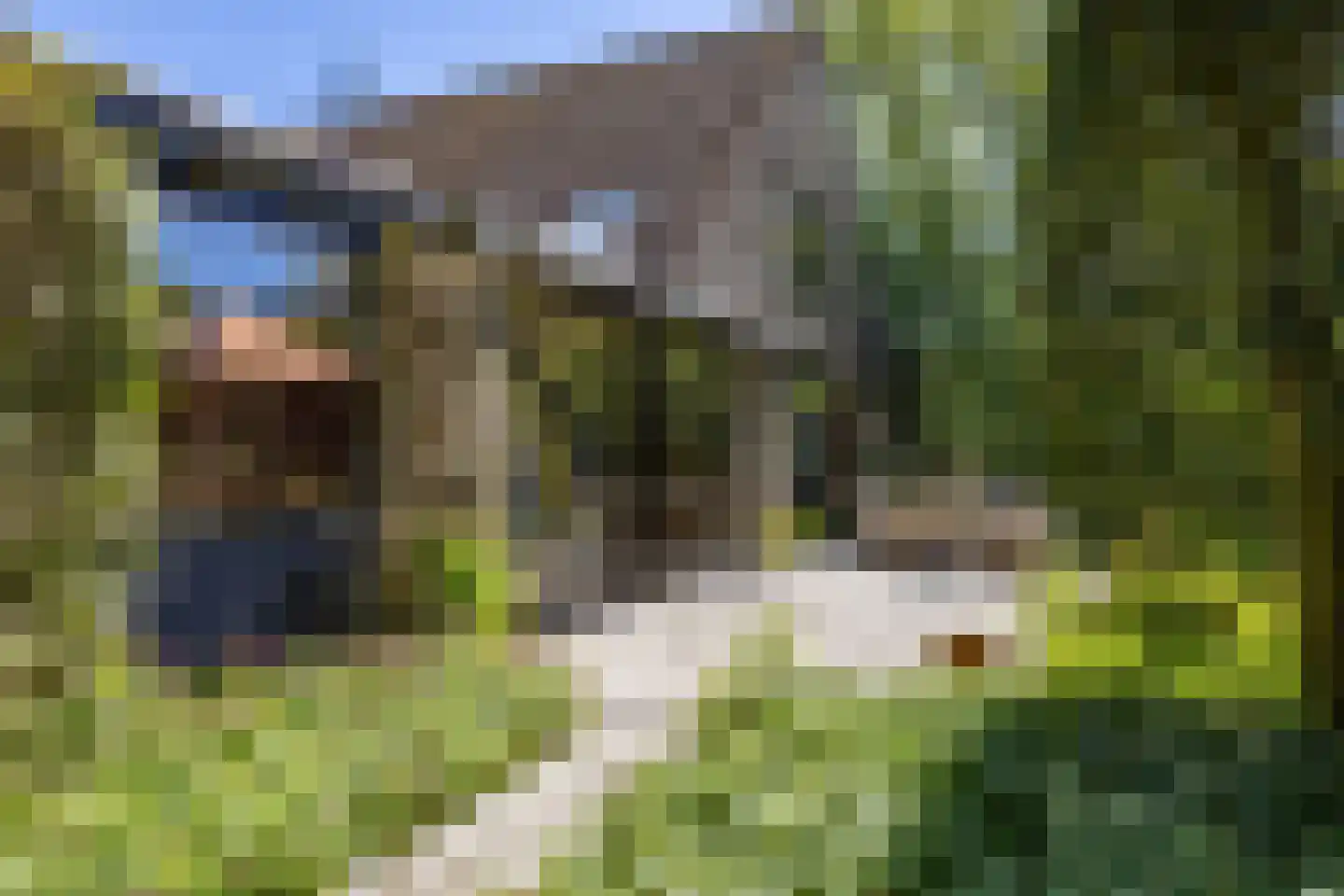 't Harde 3 Haren Gn thumbnail 22