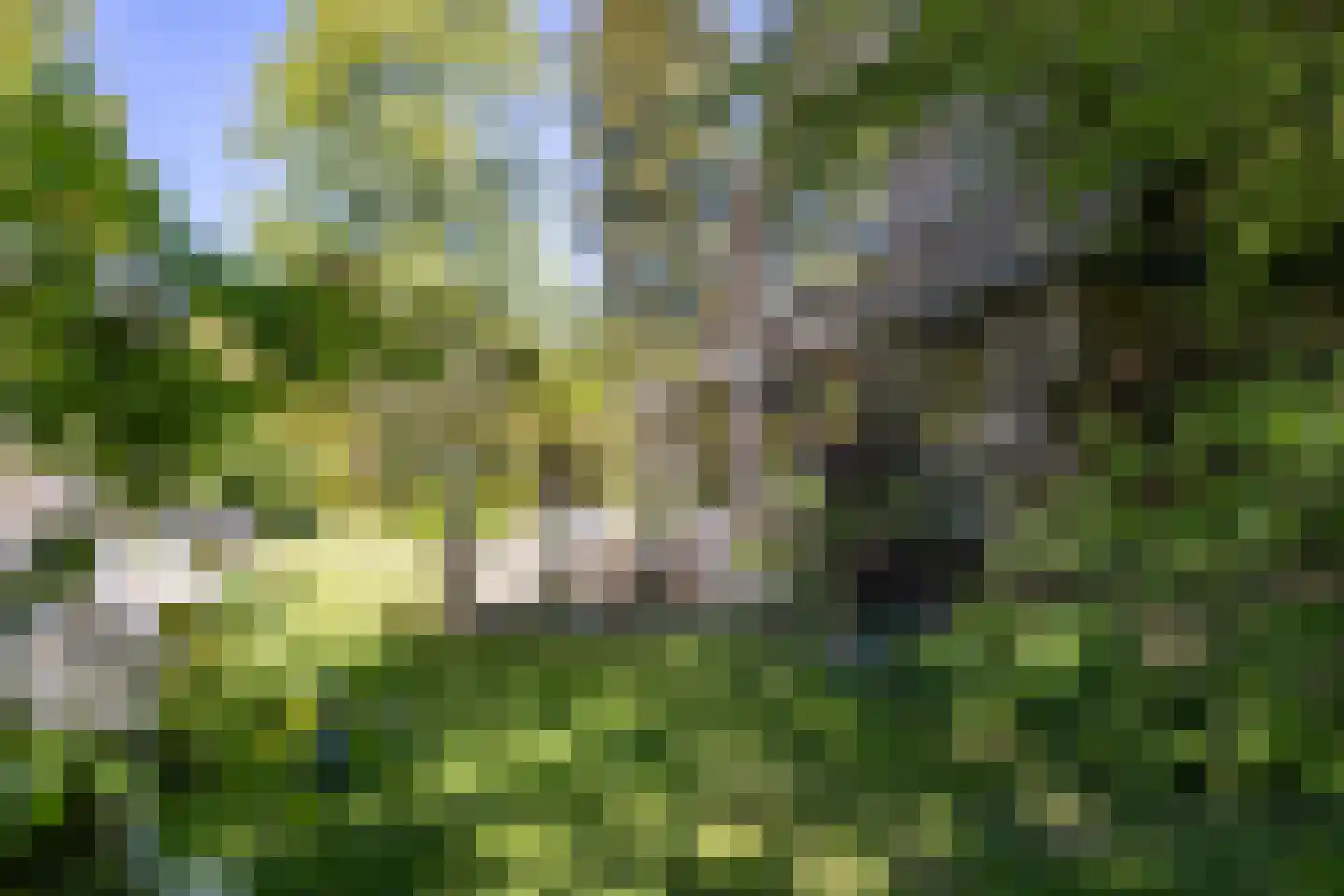 't Harde 3 Haren Gn thumbnail 24