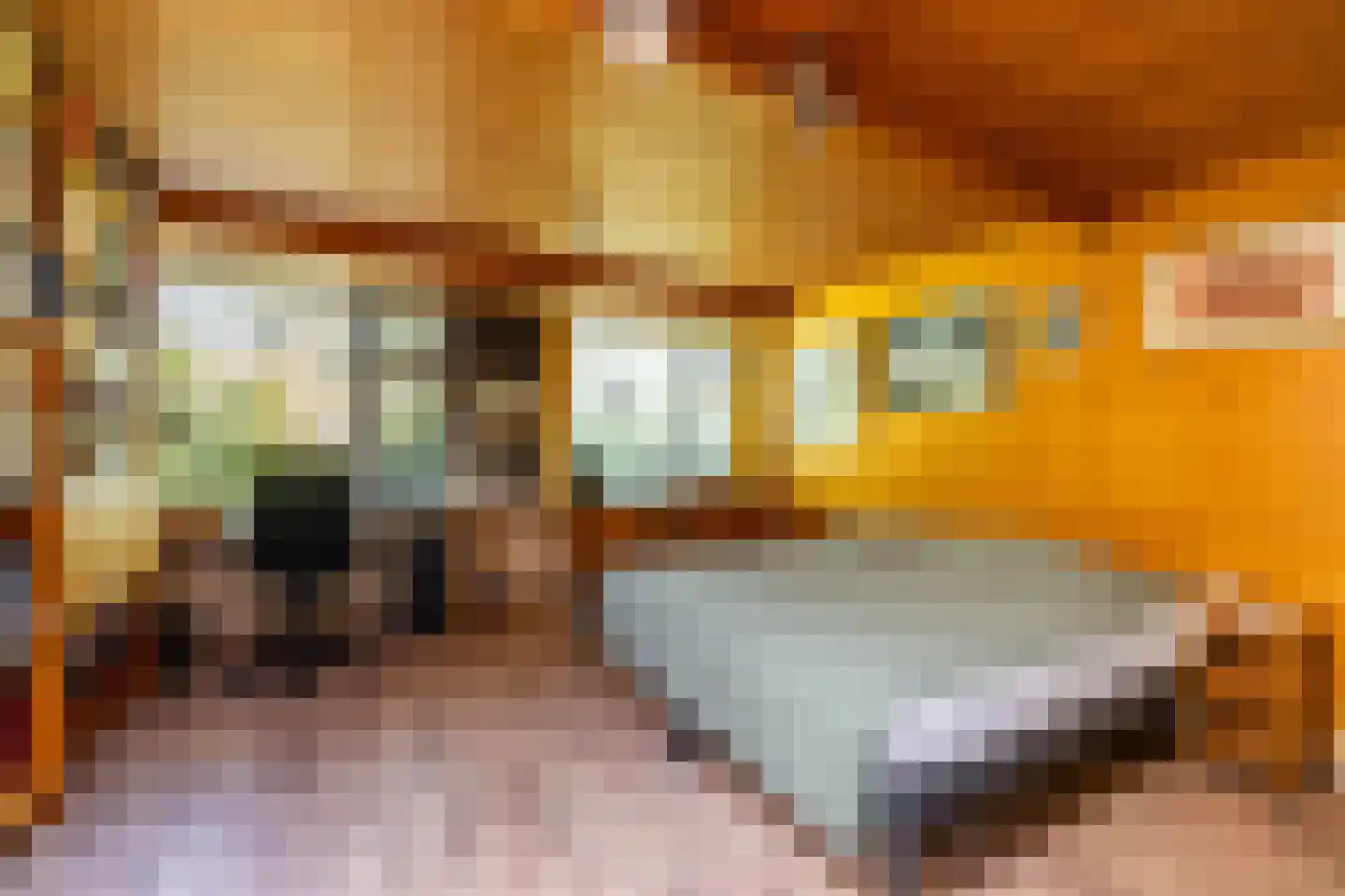 't Harde 3 Haren Gn thumbnail 34