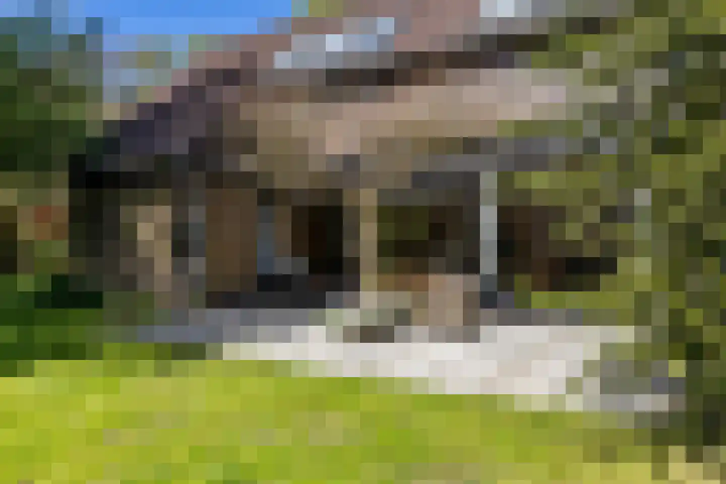 't Harde 3 Haren Gn thumbnail 4