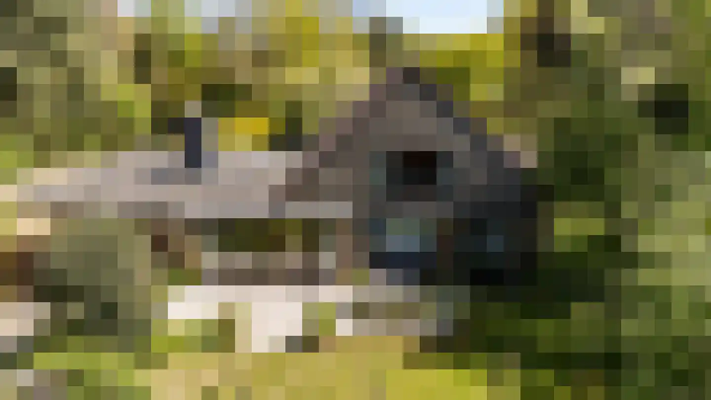 't Harde 3 Haren Gn thumbnail 42