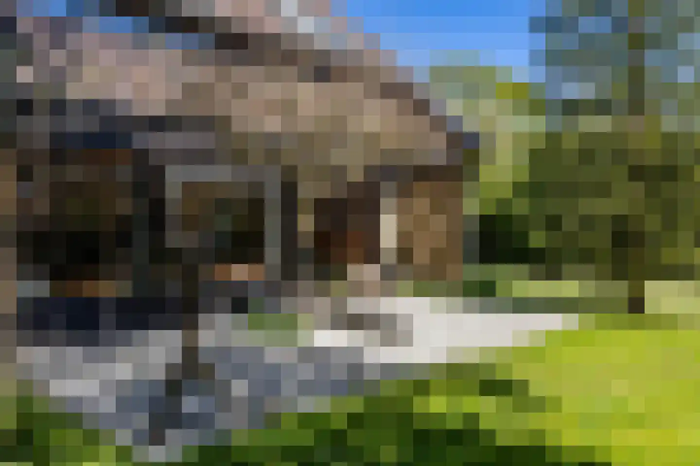 't Harde 3 Haren Gn thumbnail 5