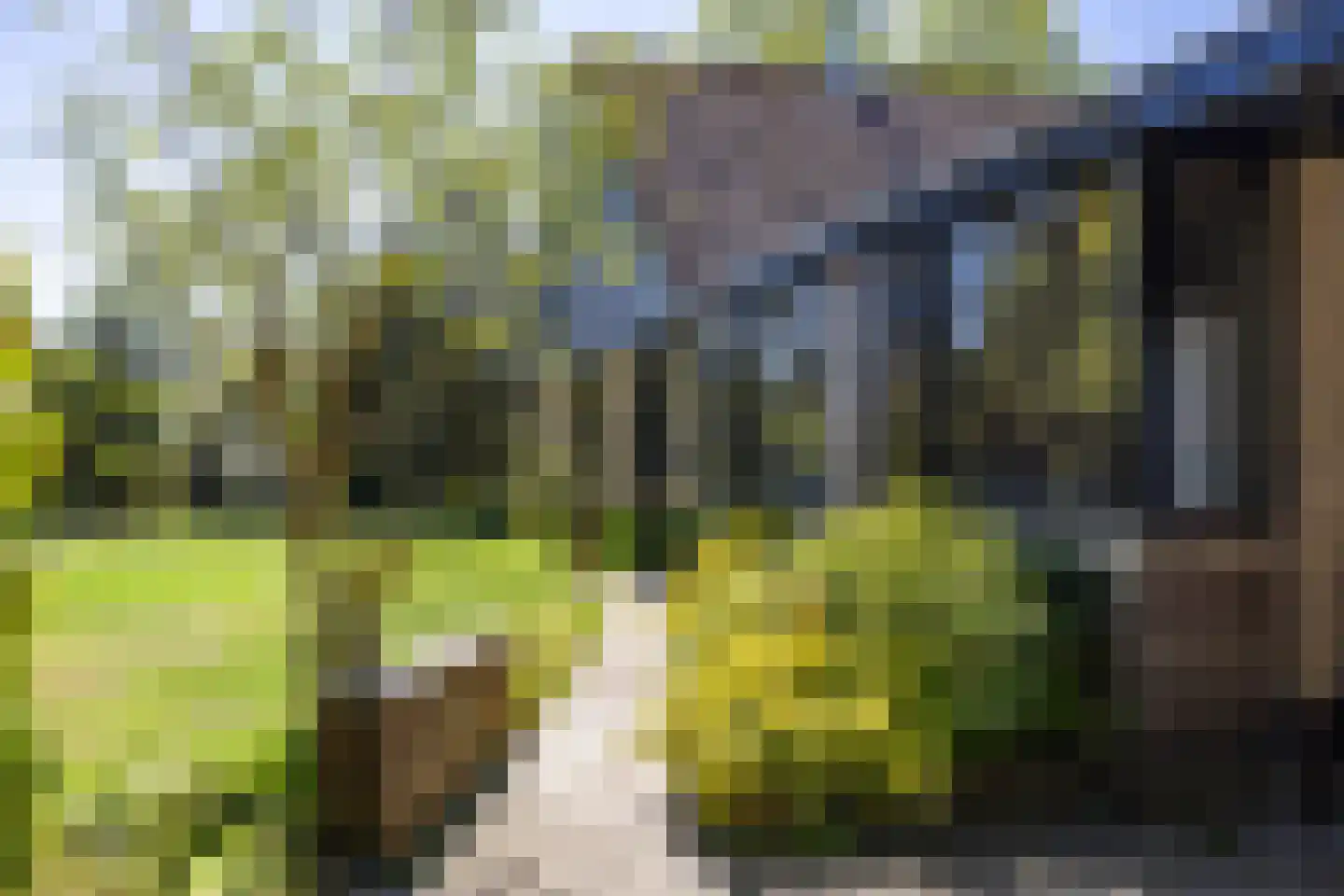 't Harde 3 Haren Gn thumbnail 7