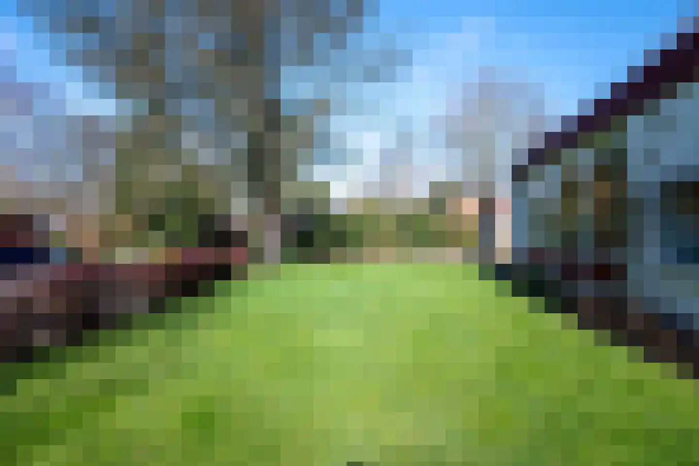 't Harde 6 Haren (GR) thumbnail 12