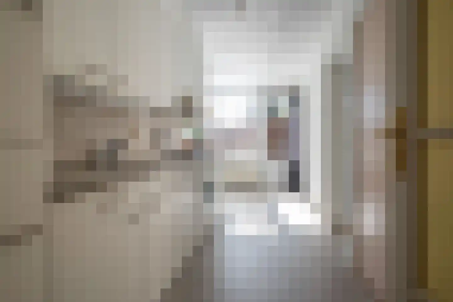 't Harde 6 Haren (GR) thumbnail 27
