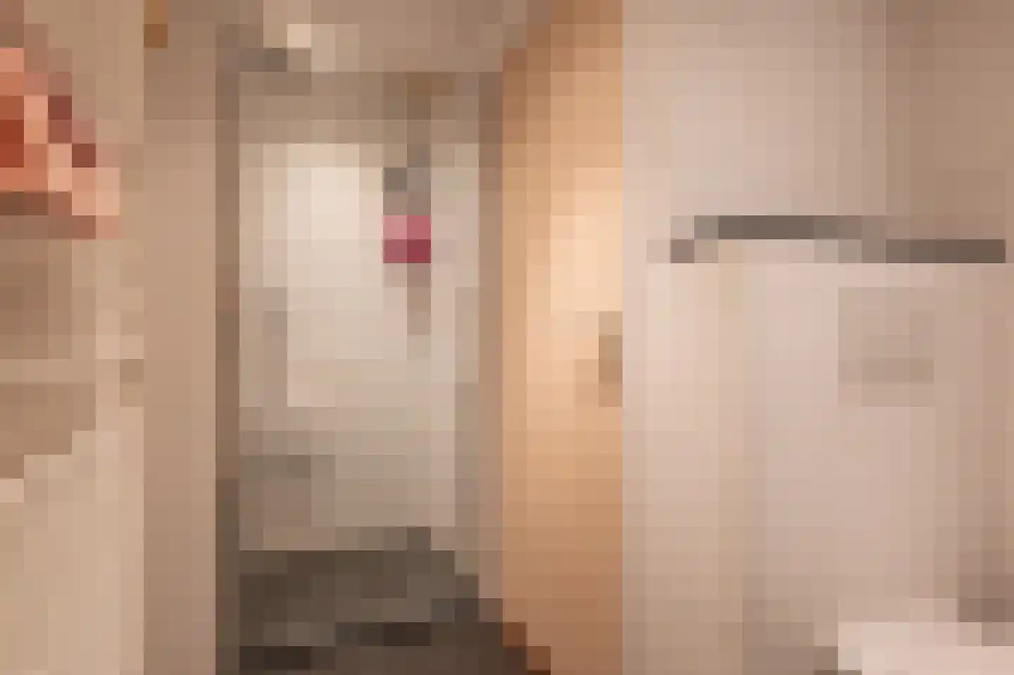 't Harde 6 Haren (GR) thumbnail 34