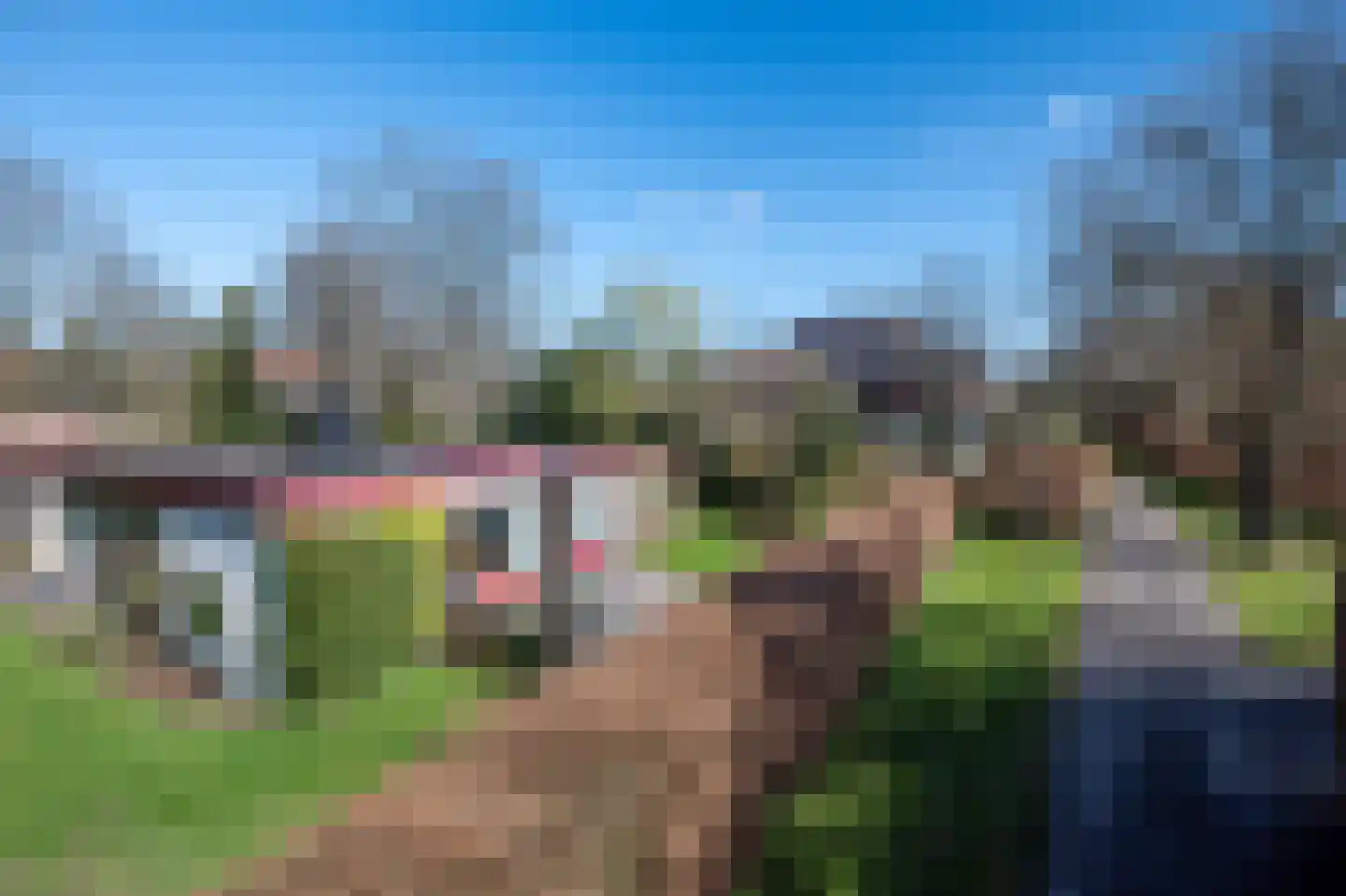 't Harde 6 Haren (GR) thumbnail 36