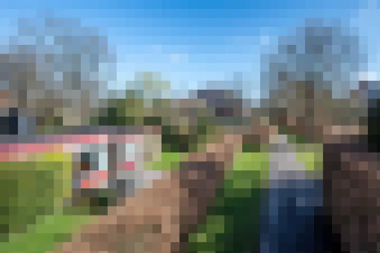 't Harde 6 Haren (GR) thumbnail 37