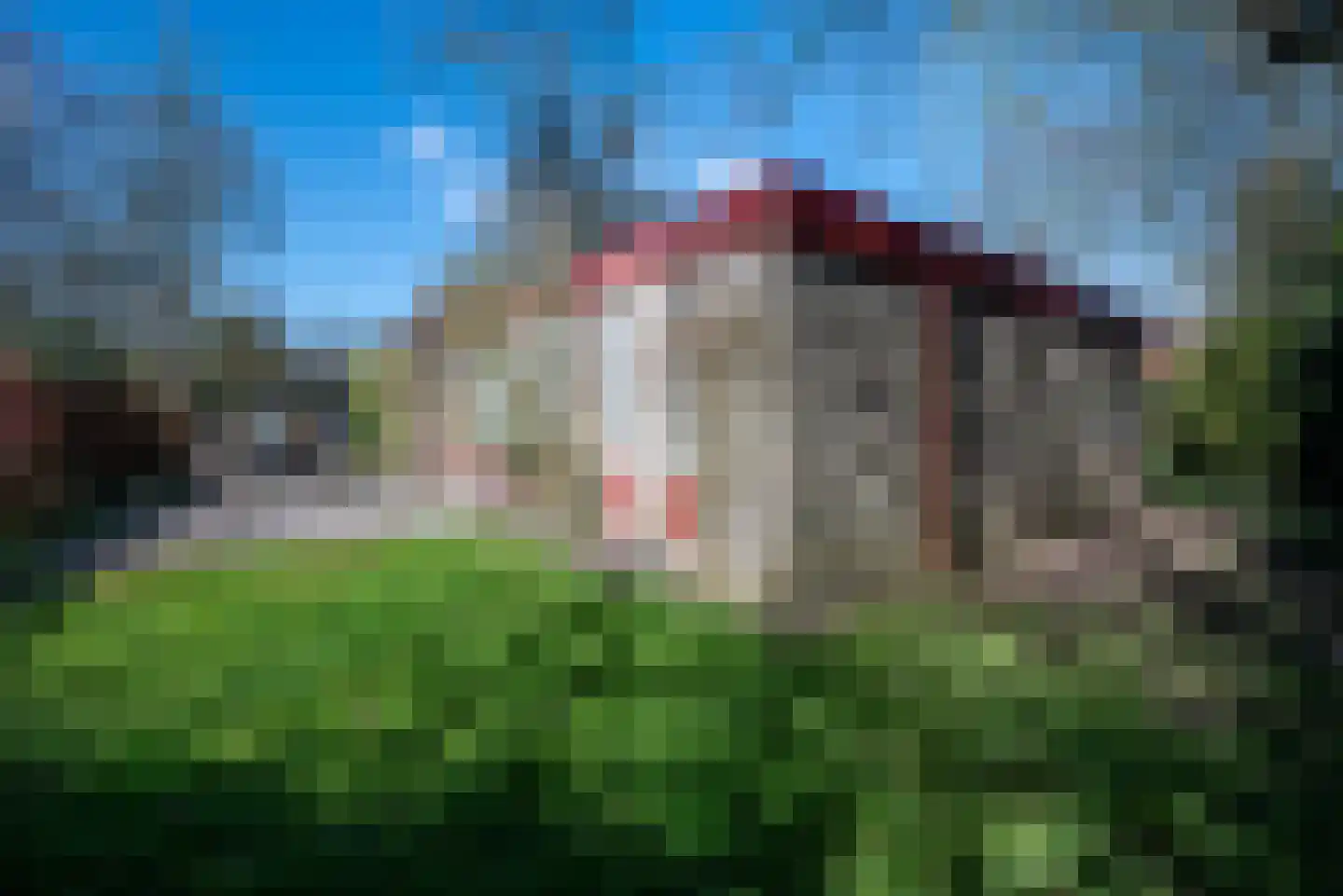 't Harde 6 Haren (GR) thumbnail 38