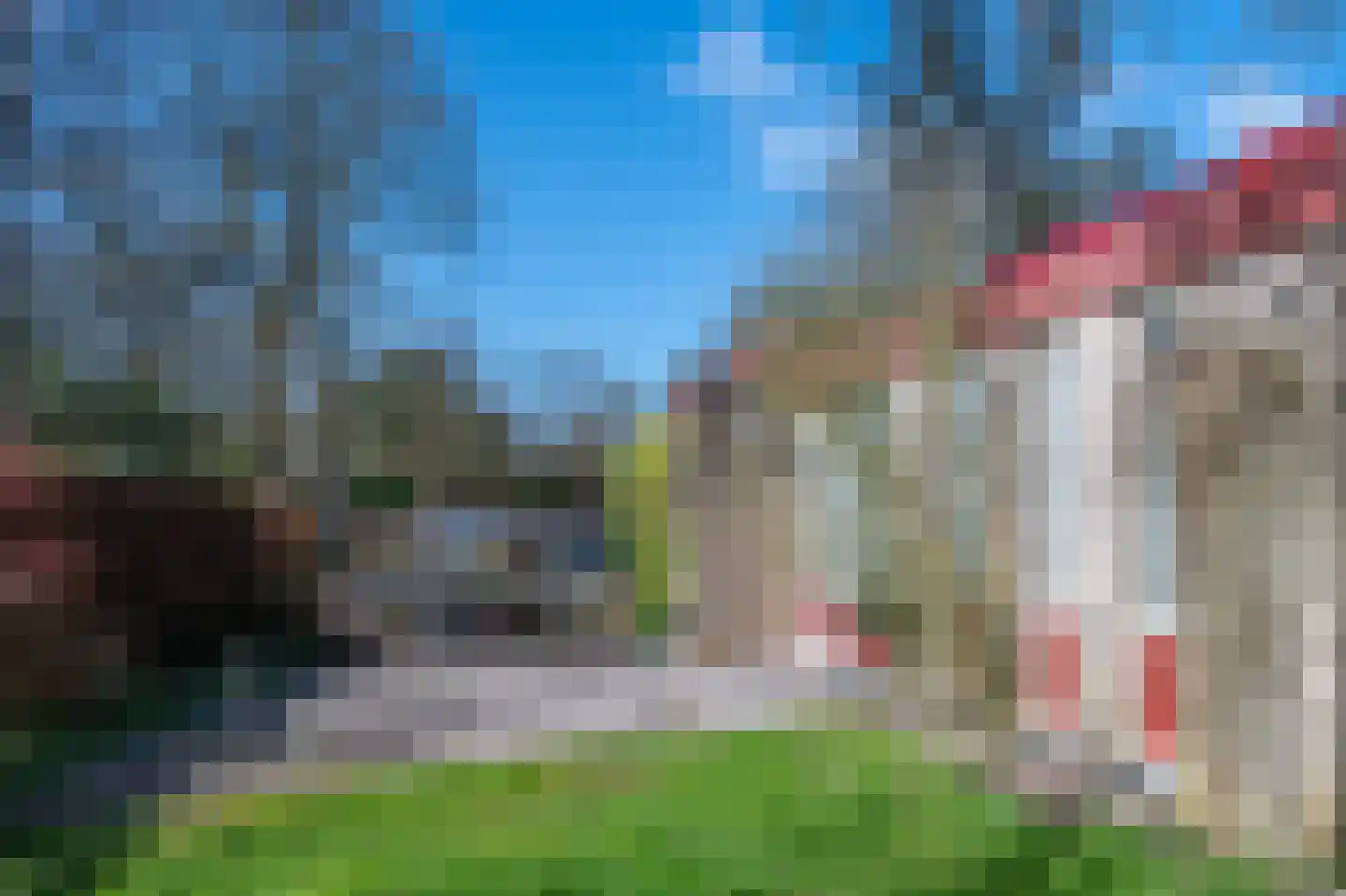 't Harde 6 Haren (GR) thumbnail 41