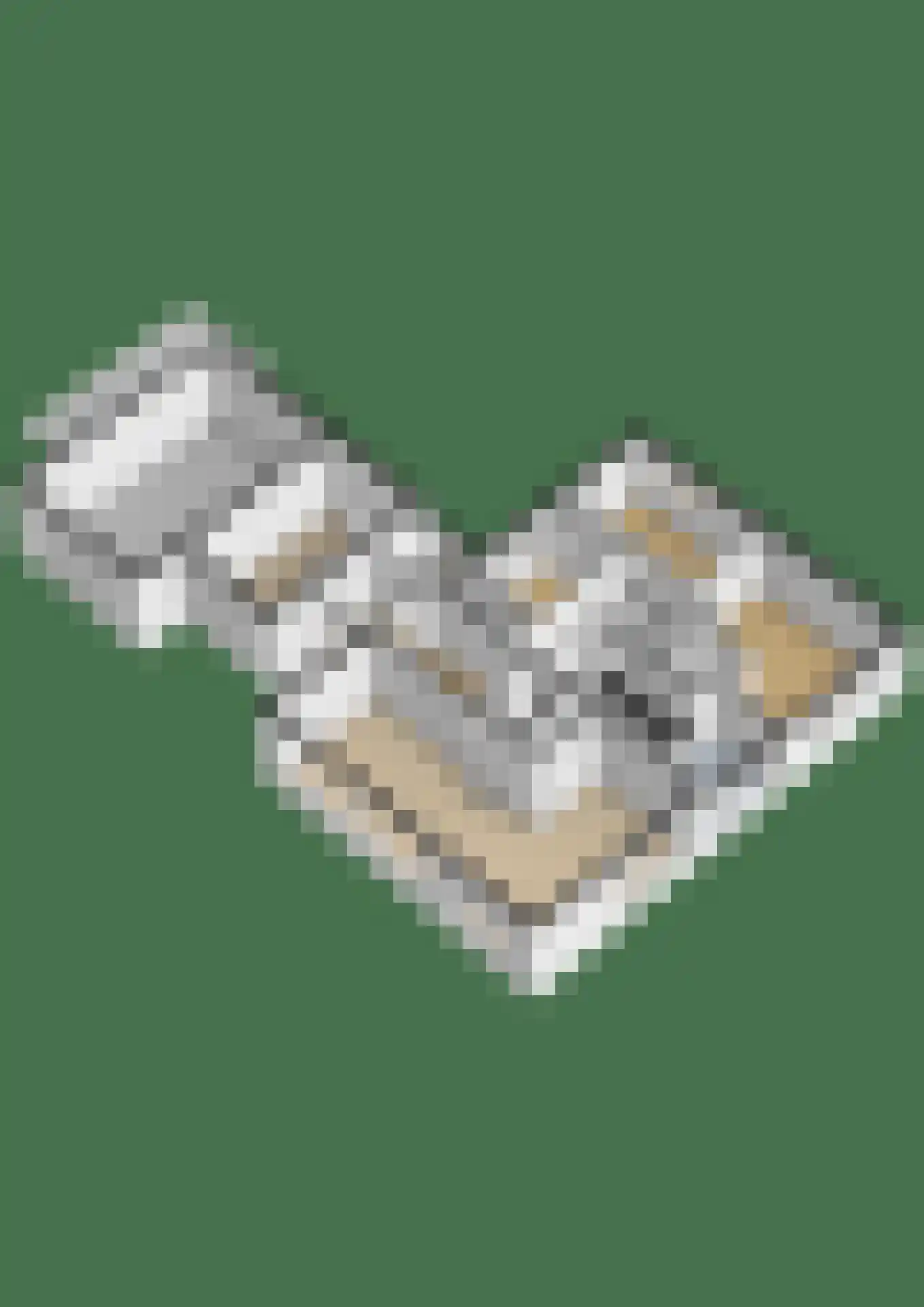 't Harde 6 Haren (GR) thumbnail 45
