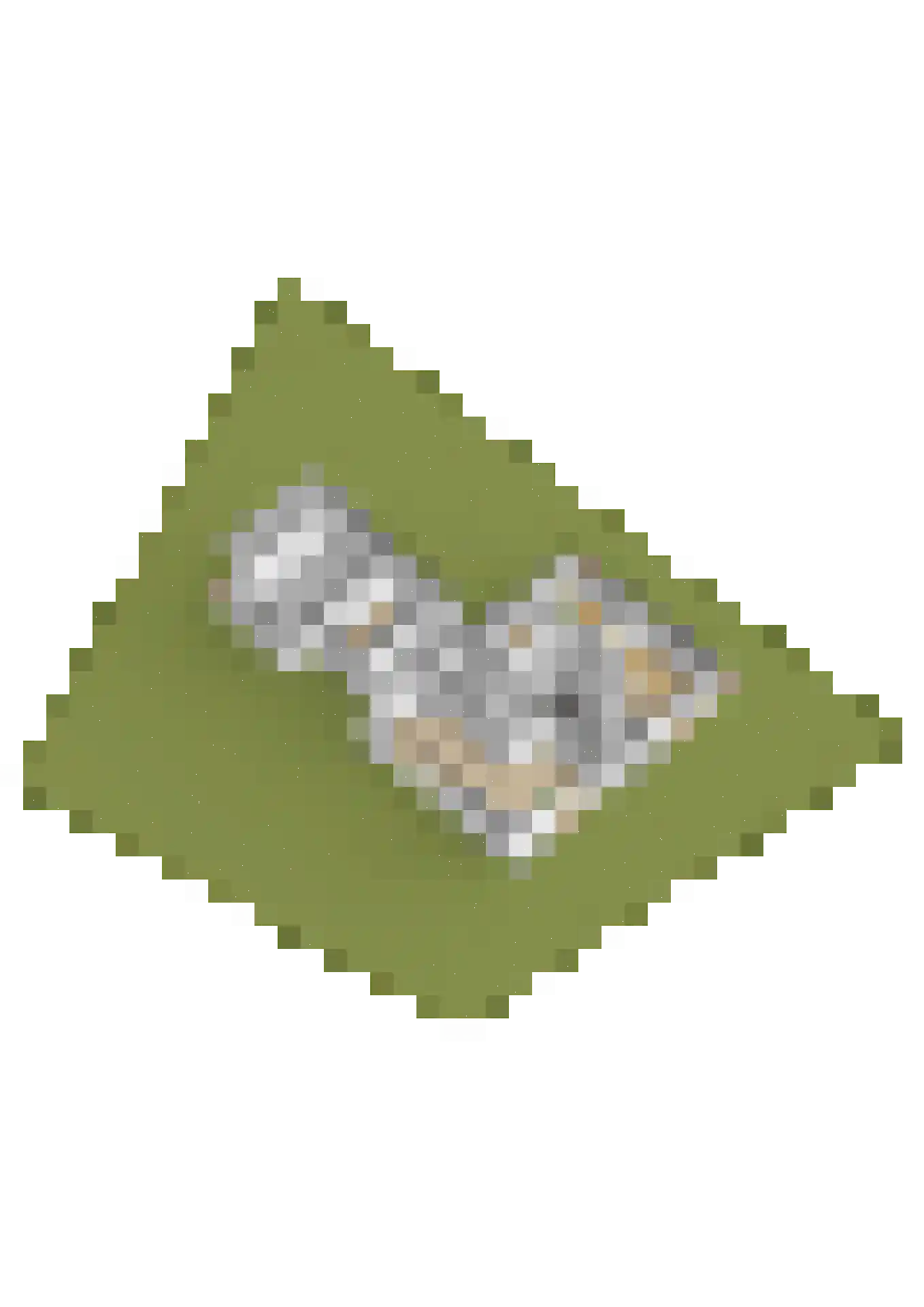 't Harde 6 Haren (GR) thumbnail 47