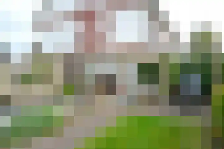 't Hardestraat 28 Huizen thumbnail 19