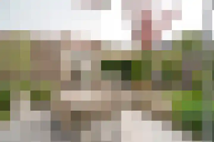 't Hardestraat 28 Huizen thumbnail 20
