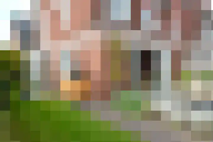 't Hardestraat 28 Huizen thumbnail 21