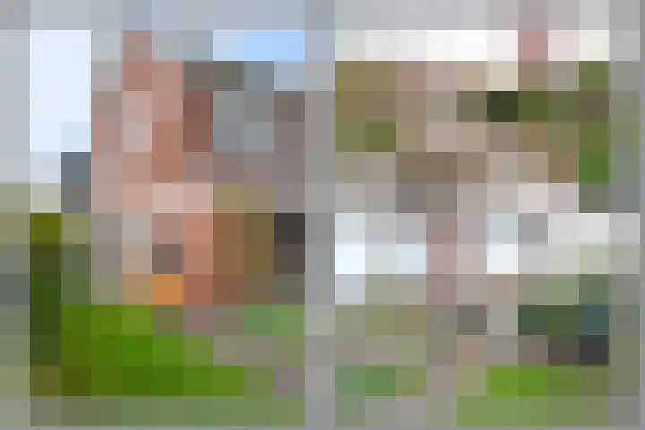 't Hardestraat 28 Huizen thumbnail 22