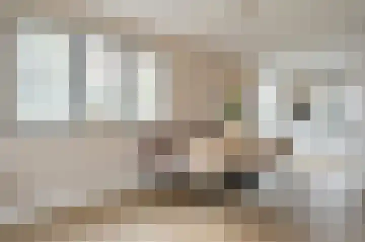 't Hardestraat 28 Huizen thumbnail 6