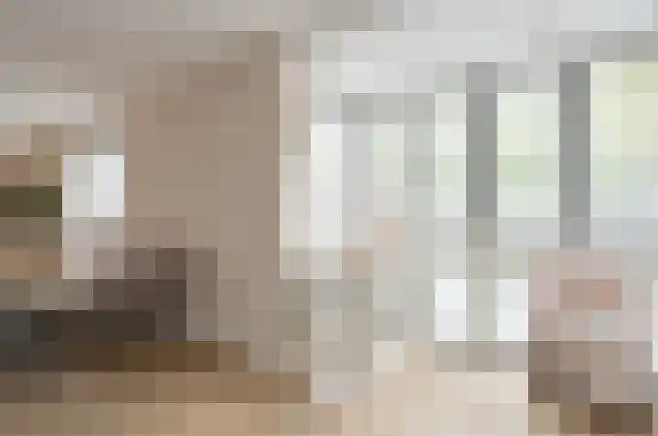 't Hardestraat 28 Huizen thumbnail 8