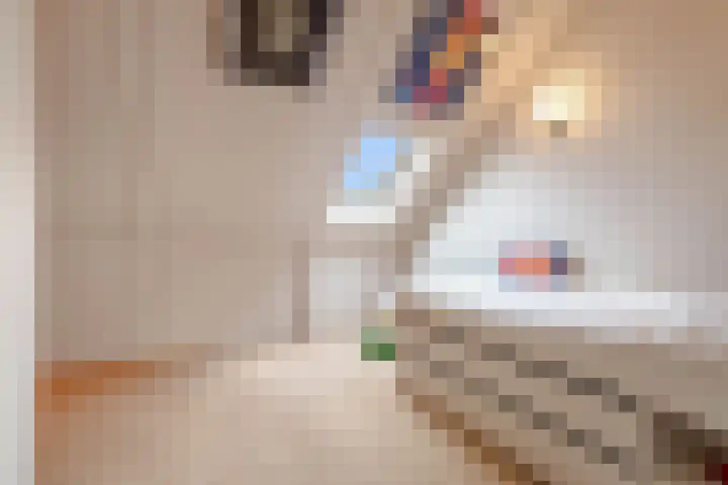 't Hardestraat 29 Huizen thumbnail 27