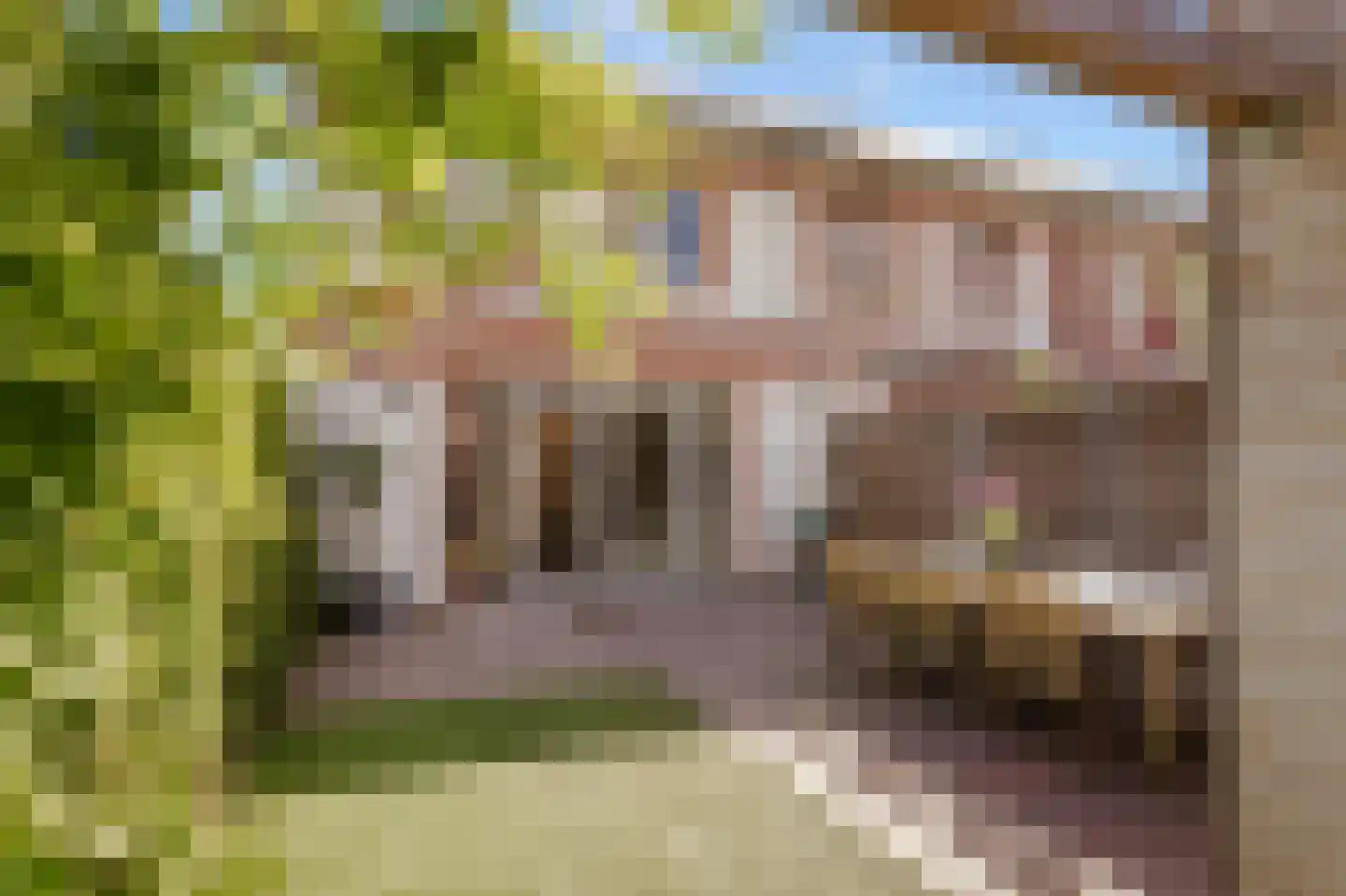 't Hardestraat 29 Huizen thumbnail 32
