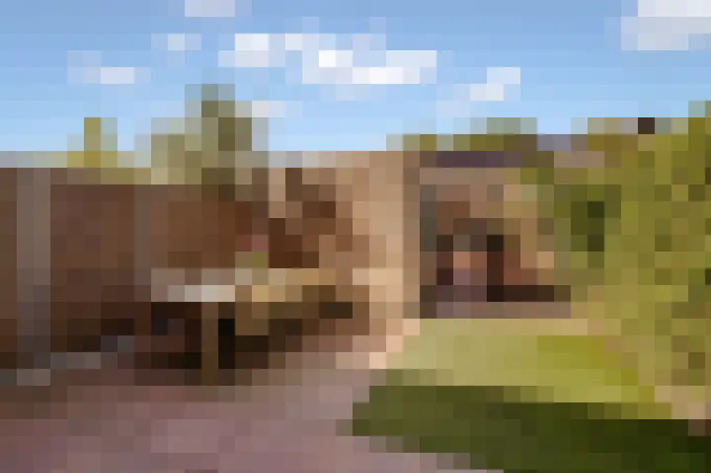 't Hardestraat 29 Huizen thumbnail 34