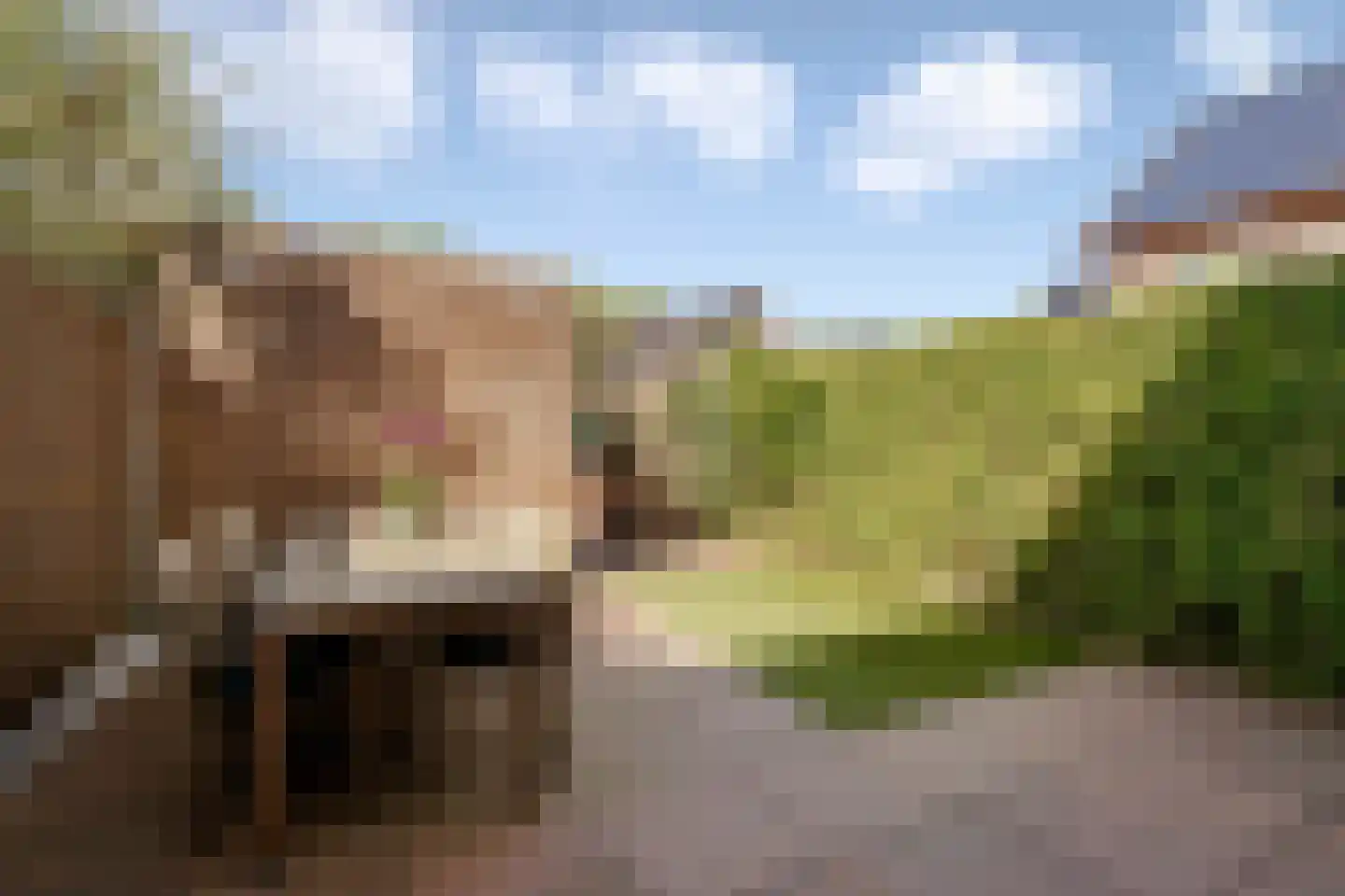 't Hardestraat 29 Huizen thumbnail 35