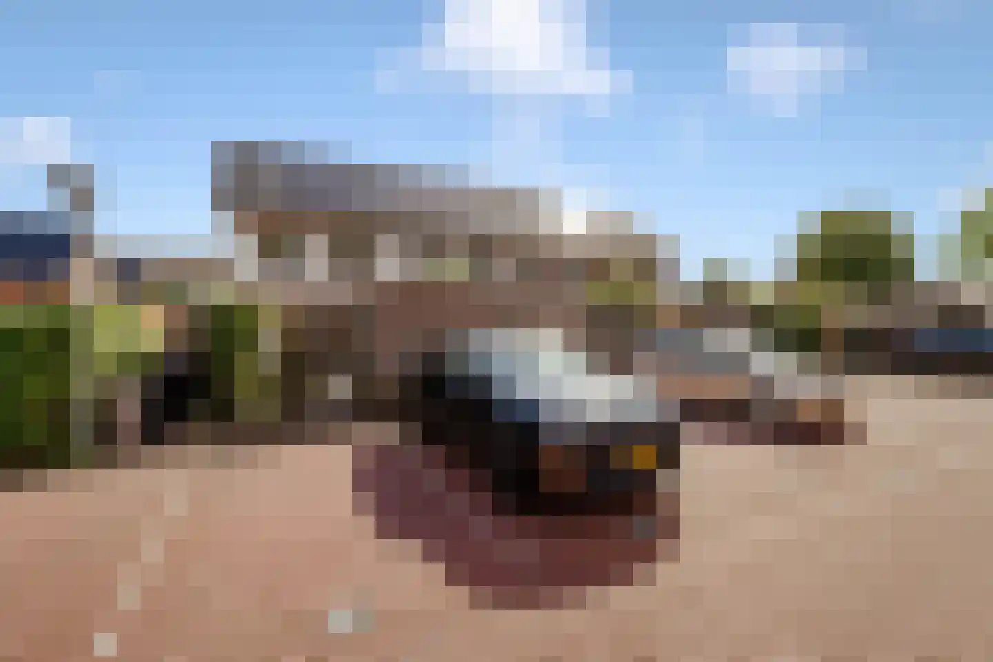 't Hardestraat 29 Huizen thumbnail 36