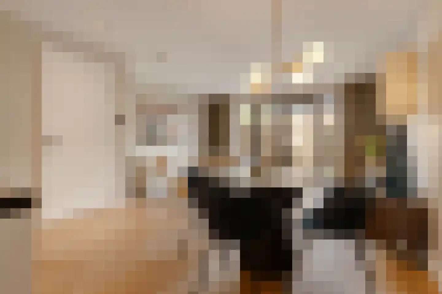 't Hardestraat 29 Huizen thumbnail 4