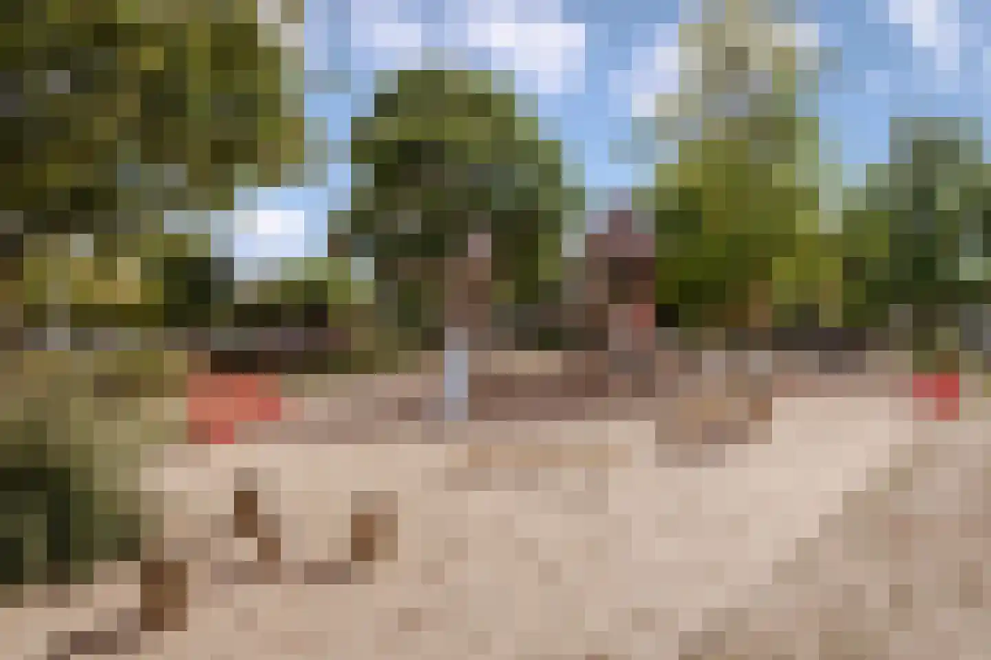 't Hardestraat 29 Huizen thumbnail 42