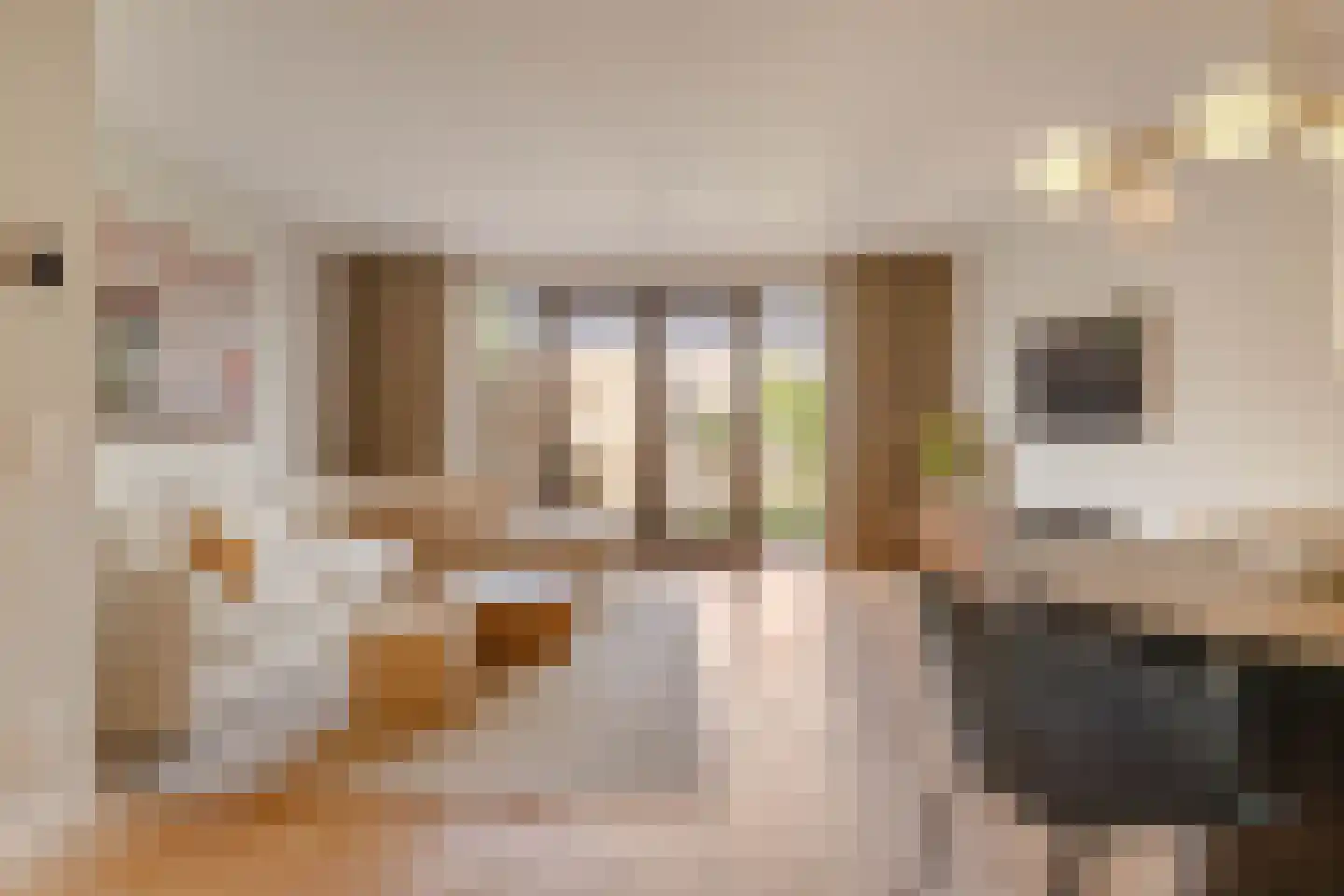 't Hardestraat 29 Huizen thumbnail 5
