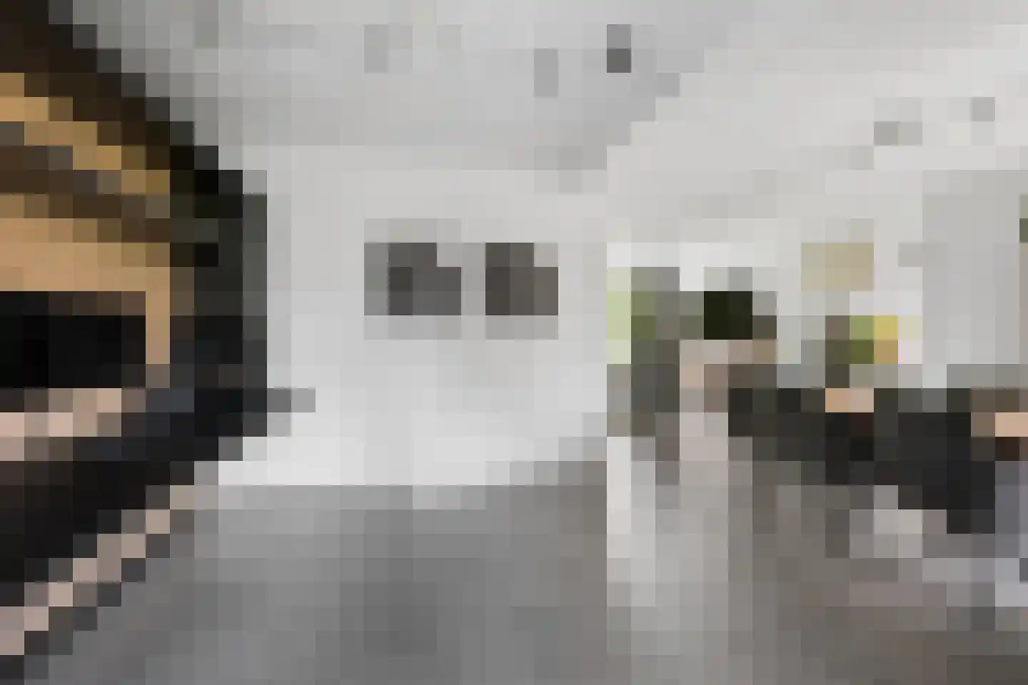 't Hazeveld 101 Nijkerk thumbnail 11